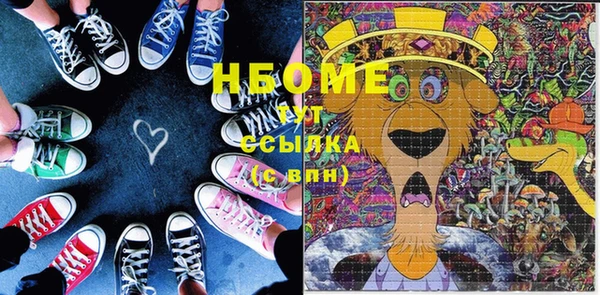 2c-b Инсар