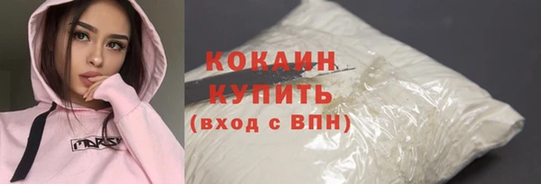 2c-b Инсар