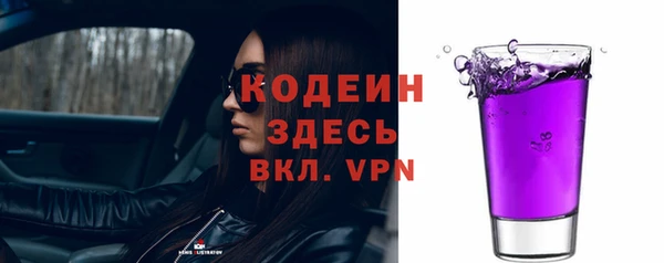 2c-b Инсар