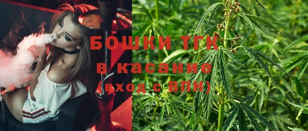 2c-b Инсар