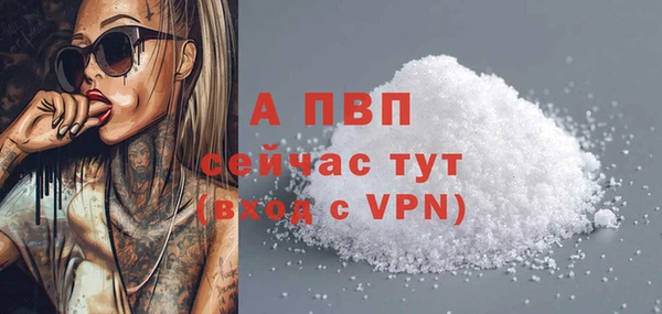 2c-b Инсар