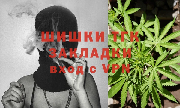 2c-b Инсар