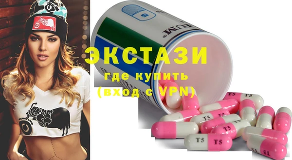 2c-b Инсар