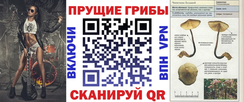 Псилоцибиновые грибы Magic Shrooms  Купить закладки  Горняк 
